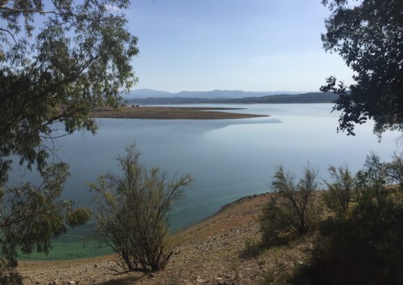 A Tula la magia del lago Coghinas